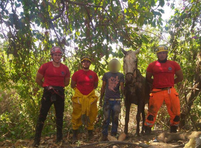 Preso em atoleiro por quase um dia, cavalo é salvo por bombeiros na Grande  BH - Gerais - Estado de Minas